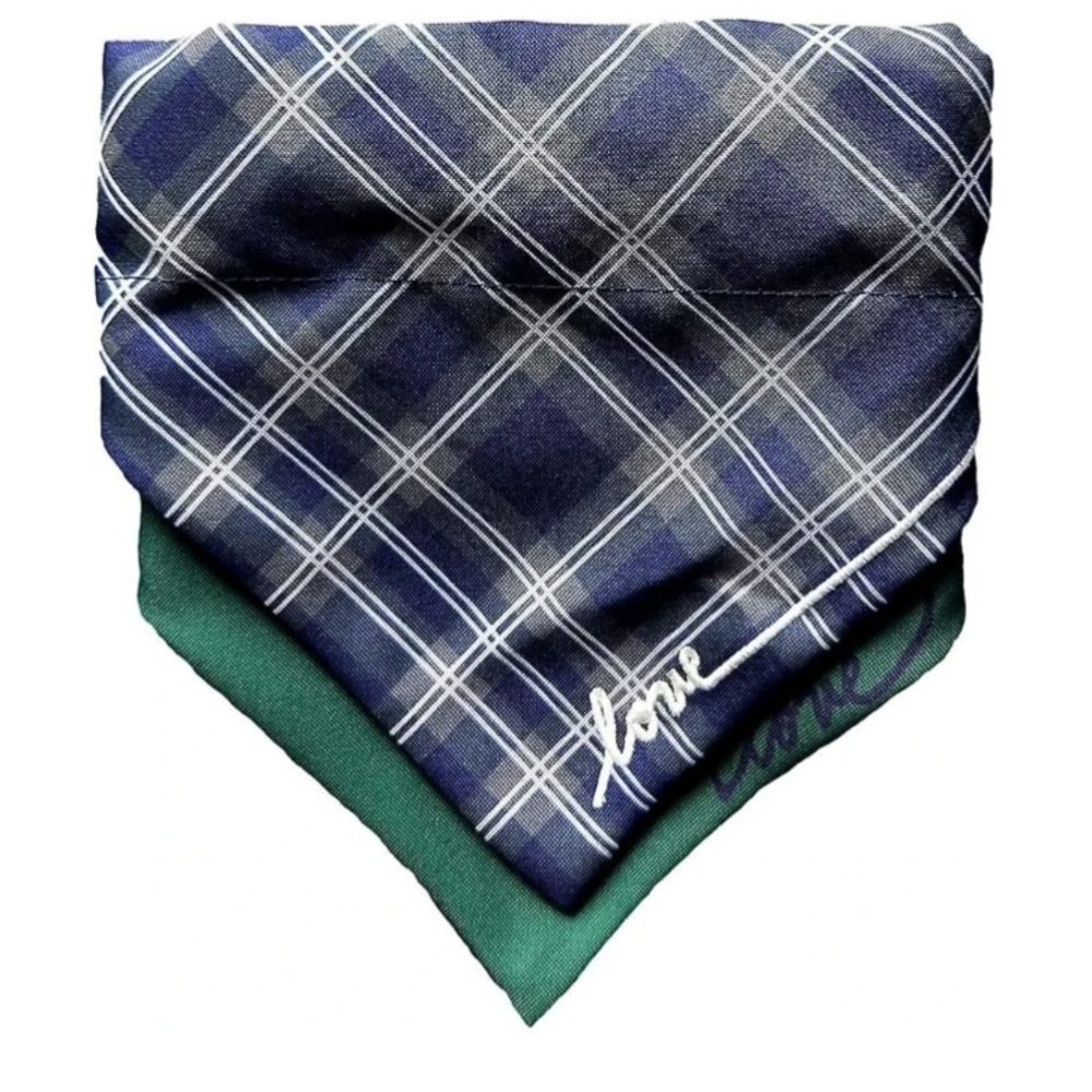 Loewe Plaid Scarf in Blue and Green